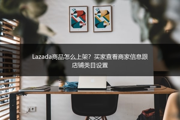 Lazada商品怎么上架？买家查看商家信息跟店铺类目设置 
