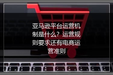 亚马逊平台运营机制是什么？运营规则要求还有电商运营准则