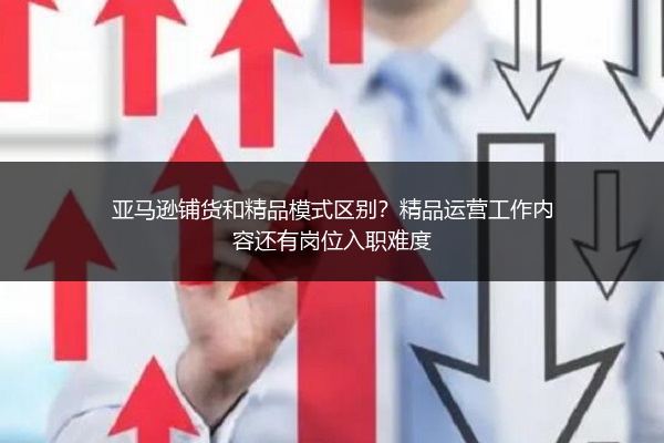 亚马逊铺货和精品模式区别？精品运营工作内容还有岗位入职难度