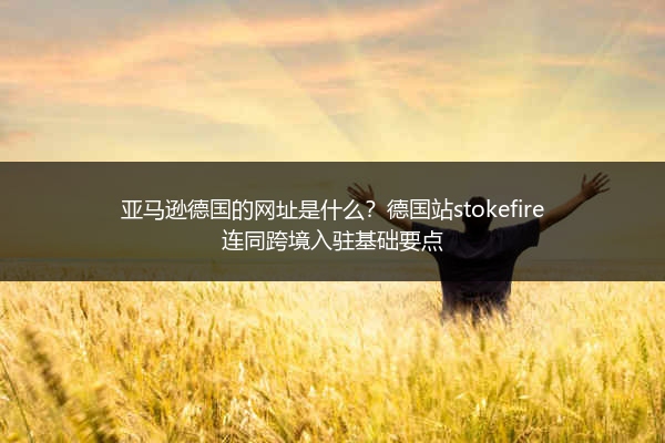 亚马逊德国的网址是什么?德国站stokefire连同跨境入驻基础要点