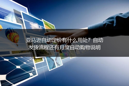 亚马逊自动定价有什么用处?自动发货流程还有月度自动购物说明