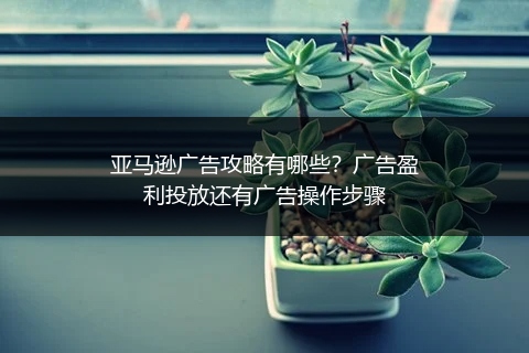 亚马逊广告攻略有哪些?广告盈利投放还有广告操作步骤