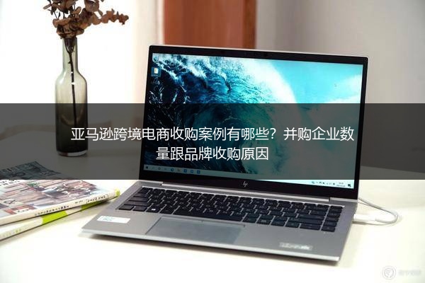 亚马逊跨境电商收购案例有哪些?并购企业数量跟品牌收购原因