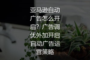 亚马逊自动广告怎么开启?广告调优外加开启自动广告运营策略