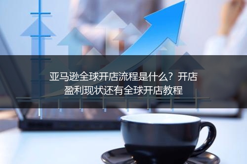 亚马逊全球开店流程是什么？开店盈利现状还有全球开店教程