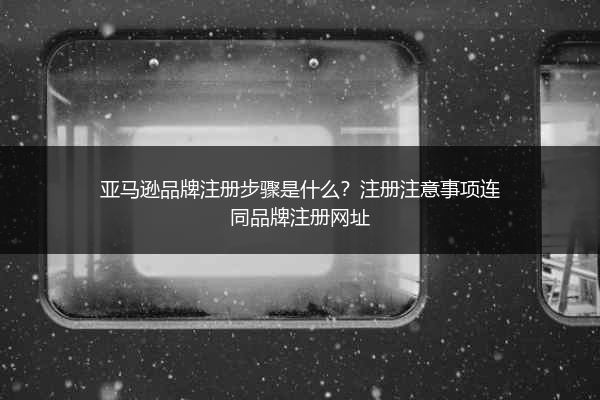 亚马逊品牌注册步骤是什么?注册注意事项连同品牌注册网址