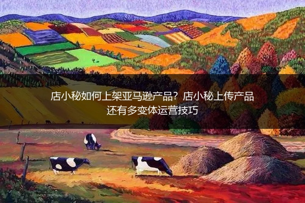 店小秘如何上架亚马逊产品？店小秘上传产品还有多变体运营技巧