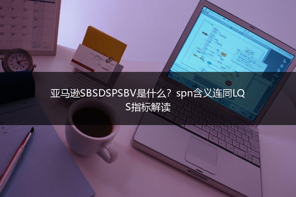亚马逊SBSDSPSBV是什么?spn含义连同LQS指标解读