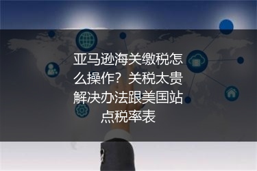 亚马逊海关缴税怎么操作?关税太贵解决办法跟美国站点税率表