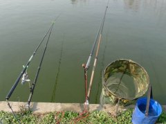 黑坑垂钓中,饵料如何使用至关重要!