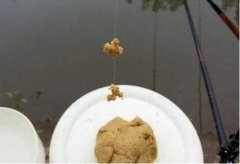 黑坑钓鱼,把握饵料的适口性的技巧秘诀?