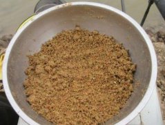 黑坑最怕的3种饵料,坑冠就是囊中之物!