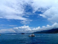 黑坑钓鱼开饵技巧,新手一定要学起来