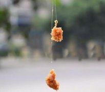 钓鱼饵料配方很全面,新手也能秒懂