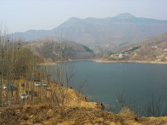 黑坑鱼塘老板的心里话
