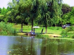 黑坑钓“精髓”你知道多少?