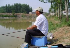 黑坑“偷驴”钓鲤鱼四个技巧