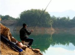 钓鱼大师传授黑坑偷驴实战技巧,空军离你而去