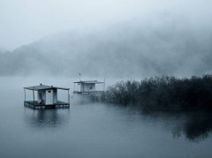 黑坑钓鱼小药,饵料使用诀窍