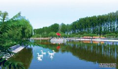 为什么喜欢黑坑?资深钓鱼大师的内心独白