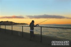黑坑钓鱼要压水线么?为什么