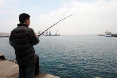 黑坑偷驴线组