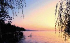 黑坑红虫钓大鲫鱼视频
