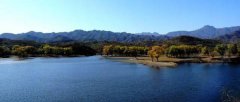 黑坑滑鱼鲤鱼钓方