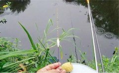 野钓调漂