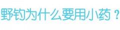 野钓小药