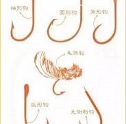 野钓鱼钩