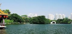 深圳罗湖野钓鱼的地方