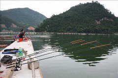 黑坑放鱼第二天怎么钓