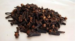 钓鱼小药一瓶能用多久