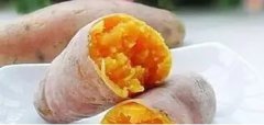 钓鱼饵料鲤鱼包上