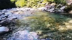 黑坑饵料及打窝方面的技巧